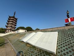-观潮胜地公园