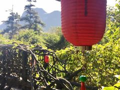-天门沟九州驿站树上汤泉