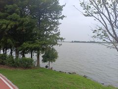 -漩门湾国家湿地公园