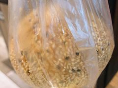 黑洋酥大麻团-白玉兰食品(中山公园龙之梦店)