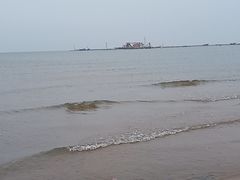 -沿海渔家院蒸汽海鲜·东北菜(东戴河店)