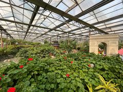 -南宫五洲植物乐园