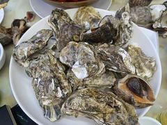 -一口猪海鲜浑锅·东北家常菜