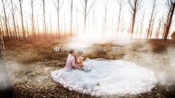 点击看大图 -维纳斯婚纱摄影(鞍山店)