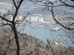 -大连老虎滩海洋公园