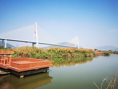 -芒洲湿地公园