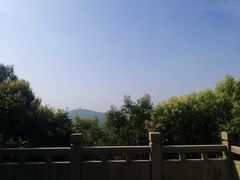 -宝界山林公园