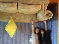 -金山农民画村-枫泾波兰倒置屋