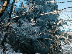 -崂山巨峰游览区