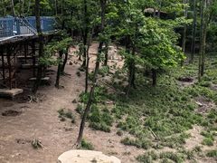 -哈尔滨北方森林动物园