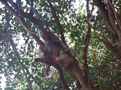 iphone_upload_pic-广州市流溪河国家森林公园