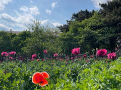 -国家植物园南园