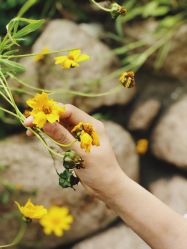 点击看大图 -莱风影画Studio