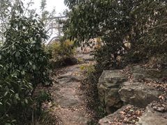 -紫金山山顶公园
