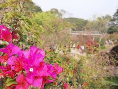 -狐尾山公园