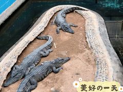 -太原动物园