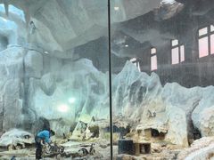 -帝企鹅自助餐厅•儿童岛•真企鹅(长隆企鹅酒店)