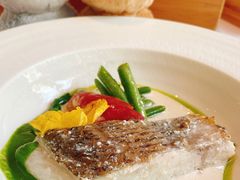 -蝶舍·MAISON PAPILLON