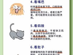 -翊宠yipet猫狗购宠庄园犬舍•猫舍