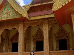 -西双版纳勐泐文化旅游区
