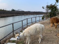 -天目湖涵田度假村