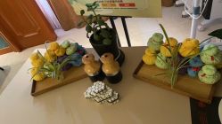 -东英经典SKIN&SPA