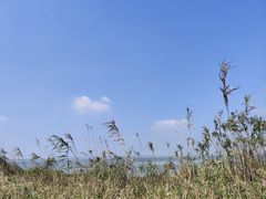 -阳澄湖半岛旅游度假区