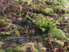 -国家植物园南园