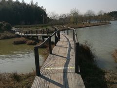 -杏花村文化旅游区