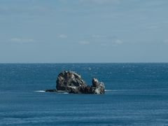 -涉地可支