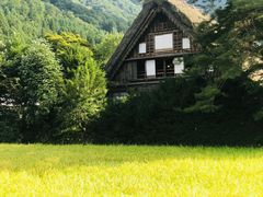 -白川乡与五箇山的合掌构造村落