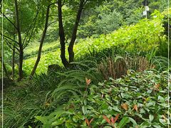 -阿哈湖国家湿地公园