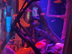 -沈阳海洋探索中心