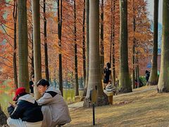 -三水森林公园