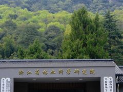 -午潮山国家森林公园