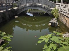 -香积寺