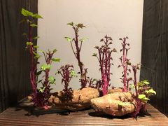 -凡人&庄阿姨的辣(万寿亭店)