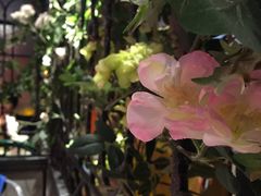 -南城十里潮汕鲜牛火锅·鲜虾生滚粥(融汇老商埠店)