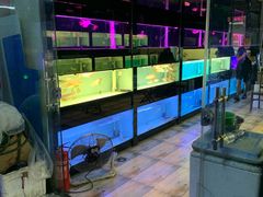 -中环花鸟鱼虫市场