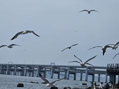 -银沙滩浴场