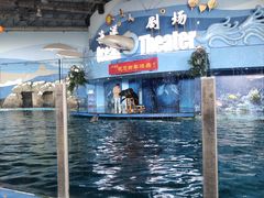-苏州海洋馆