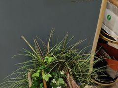 -海马体照相馆(上海月星环球港店)