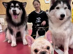 -和它·交个朋友·狗咖猫咖(爱琴海店)