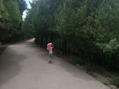 -府君山公园