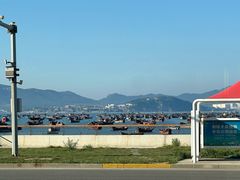 -春妮海味饭店·海景餐厅·海菜包子·大连海鲜