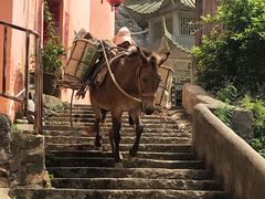 -东沙渔村