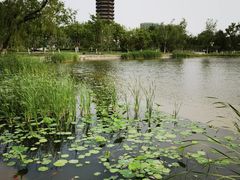 -西海子公园