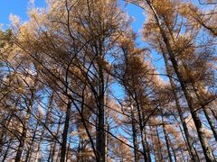 -长春市南湖公园