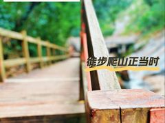 -广州白江湖森林公园