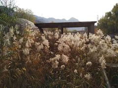 -碓臼峪自然风景区